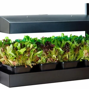 Potager d’intérieur Growlight Garden de SunBlaster