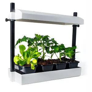 Micropotager d’intérieur Growlight Garden de SunBlaster